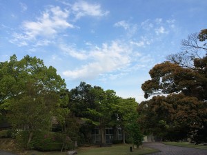 キャンパスから眺める空